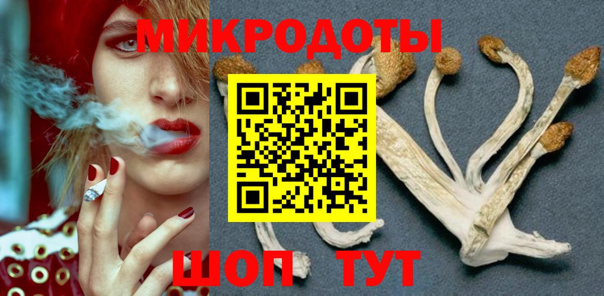 Галлюциногенные грибы Magic Shrooms Ялта
