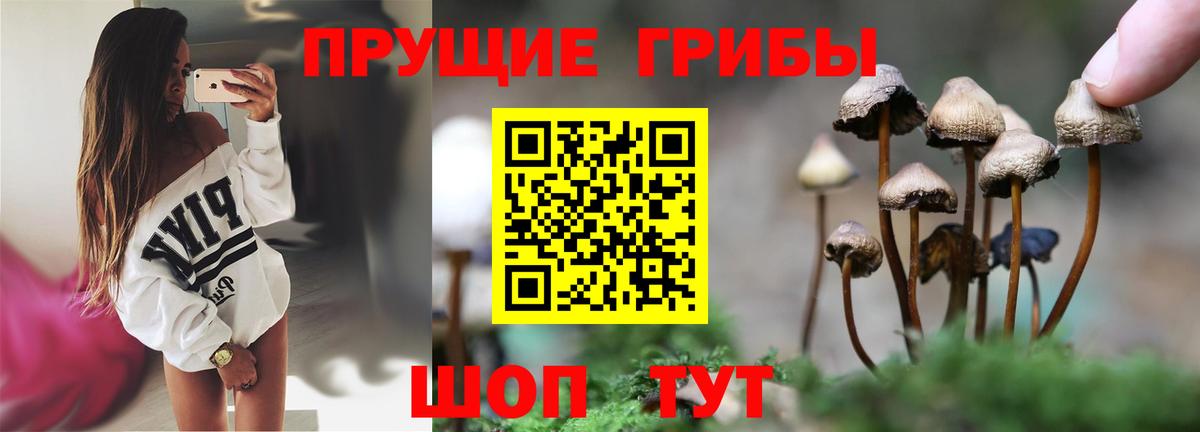 Ялта  Галлюциногенные грибы GOLDEN TEACHER  Вход с VPN  Псилоцибиновые грибы мицелий 